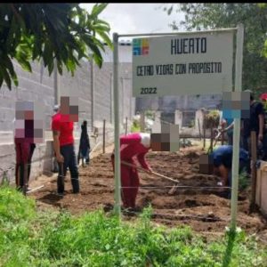 WhatsApp Image 2024-01-11 at 9.09.40 PM